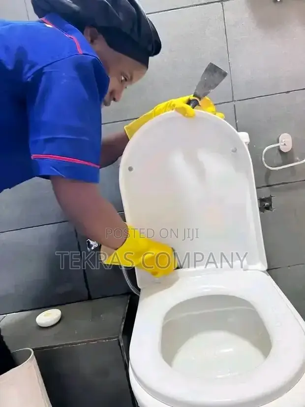 Tekras Toilet Cleaning Service - 1