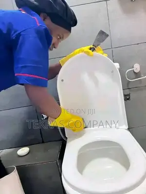 Tekras Toilet Cleaning Service