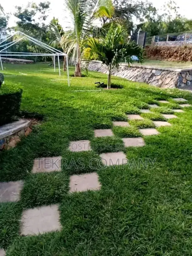 Garden Maintenance & Design Services - 1