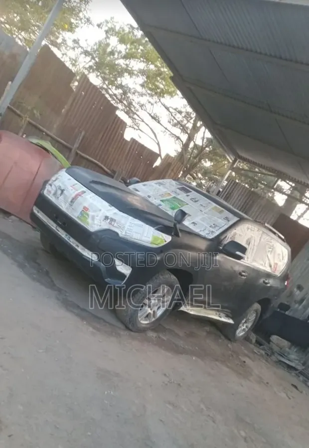 Professional Car Painting Services - 1