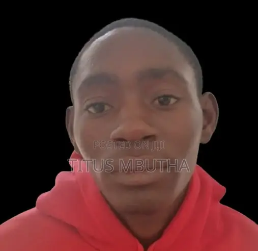 Titus - Mwanafunzi mwenye bidii anatafuta kazi mtandaoni - 1