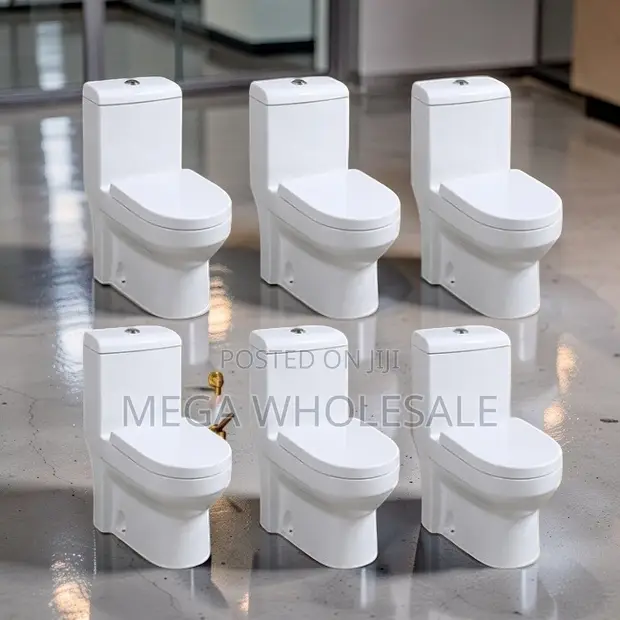 Sawa One Piece Dual Flush Toilet Seat - 1