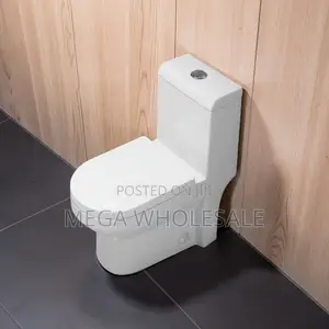 Sawa One Piece Dual Flush Toilet Seat