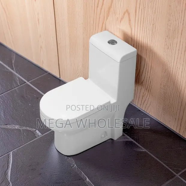 Sawa One Piece Dual Flush Toilet Seat - 1