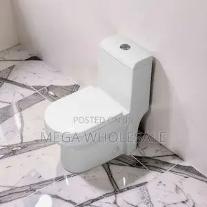 Sawa One Piece Dual Flush Toilet Seat