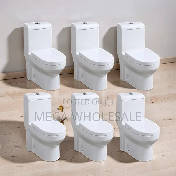 Sawa One Piece Dual Flush Toilet Seat - 1
