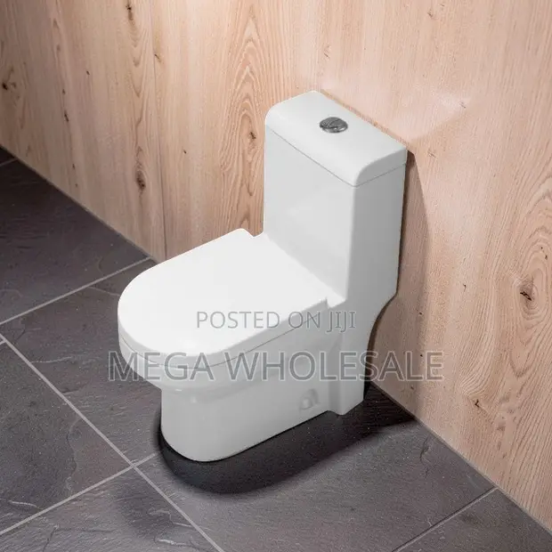 Sawa One Piece Dual Flush Toilet Seat - 1