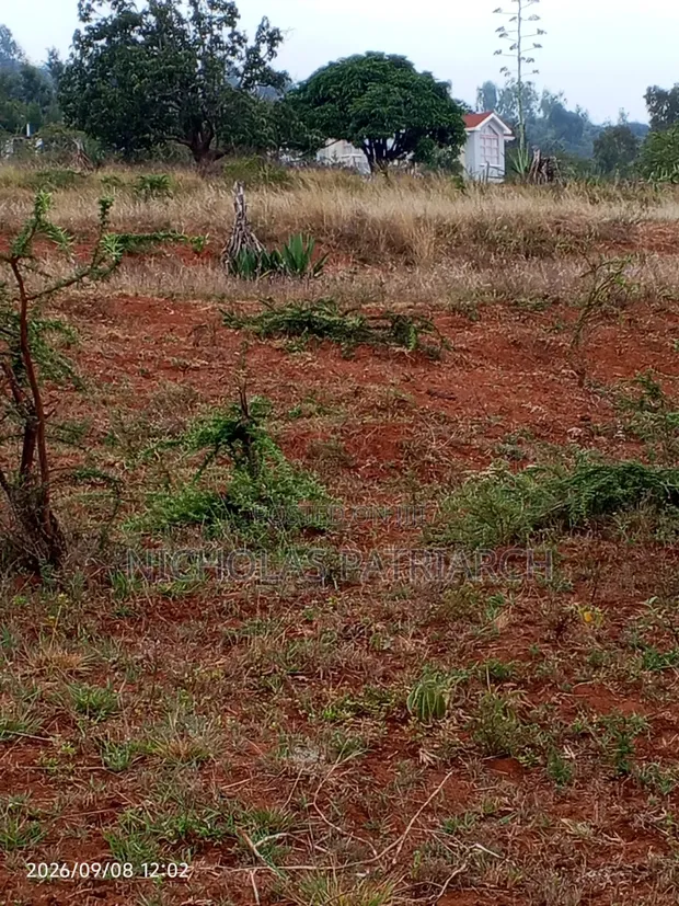 1 Acre Mua Hills Kitanga Land Touching Tarmac - 1