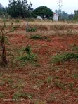 1 Acre Mua Hills Kitanga Land Touching Tarmac - 1