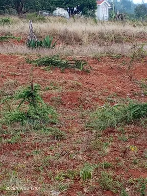 1 Acre Mua Hills Kitanga Land Touching Tarmac