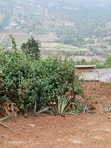 1 Acre Mua Hills Kitanga Land Touching Tarmac - 4