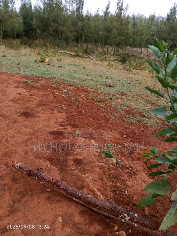4 Acres Mua Hills Kitanga Land for Sale - 1