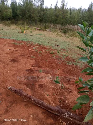 4 Acres Mua Hills Kitanga Land for Sale