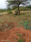4 Acres Mua Hills Kitanga Land for Sale - 2