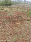 4 Acres Mua Hills Kitanga Land for Sale - 4