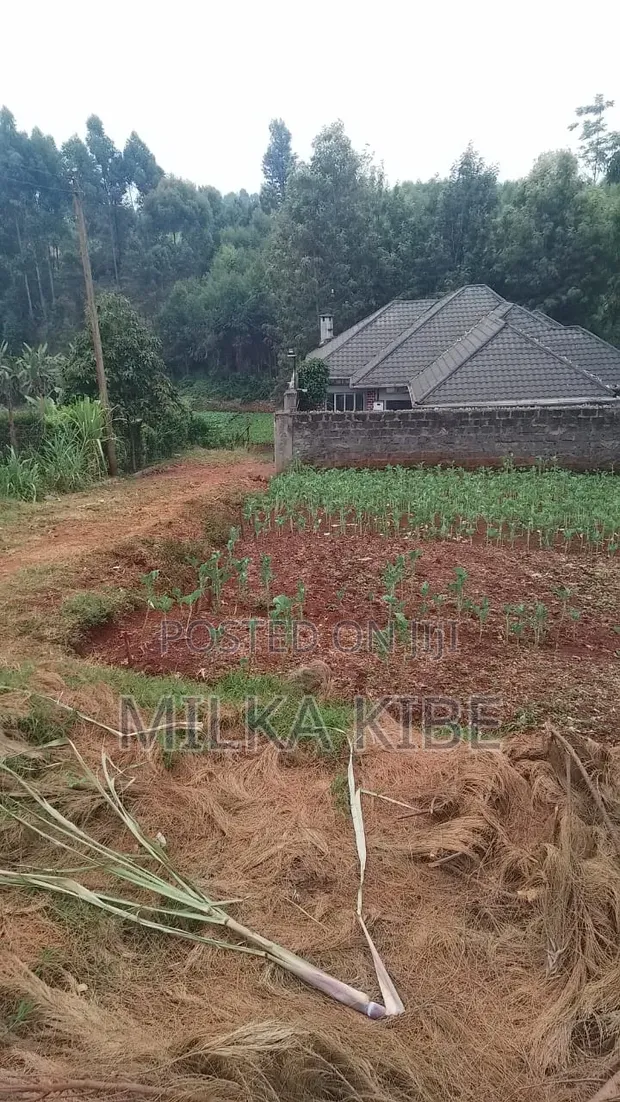 Karura Lower Kabete Plot - 40x90 - 1