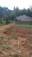 Karura Lower Kabete Plot - 40x90 - 1