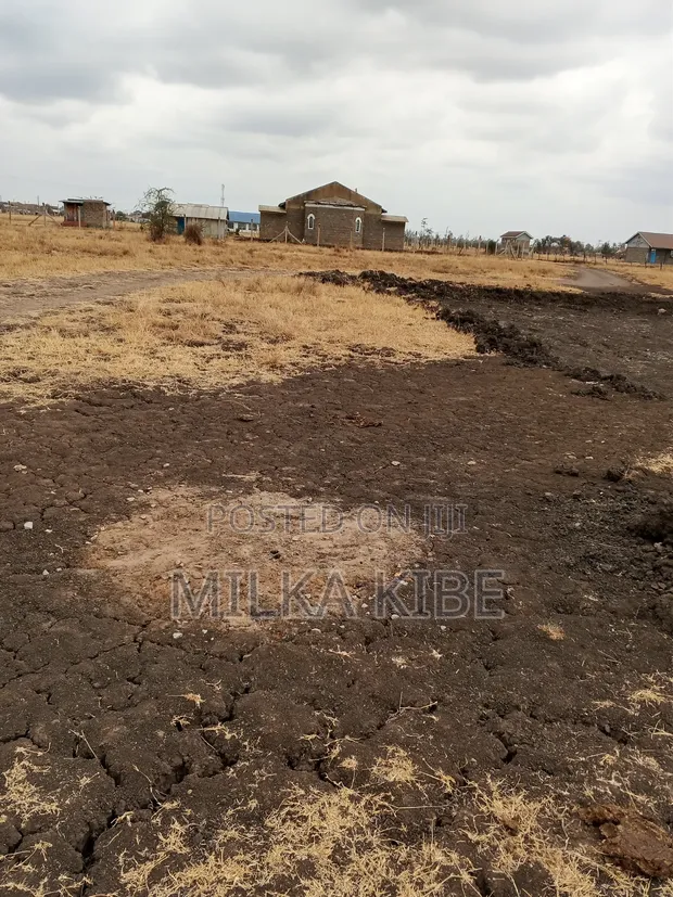 Muthaara 40x80 Plot for Sale - 1