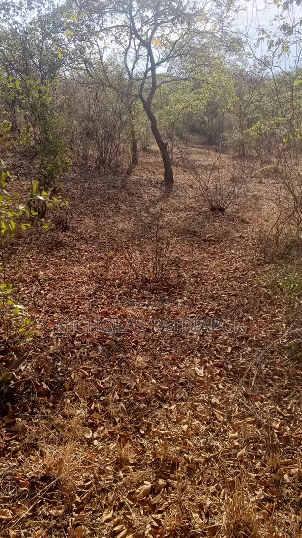 2 Acres Kyua, Machakos County - Per Acre Sale - 1