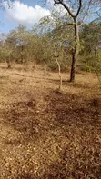 2 Acres Kyua, Machakos County - Per Acre Sale - 2