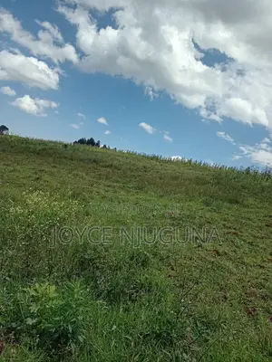 Eka Moja ya Ardhi Inauzwa Karau na Hati Miliki