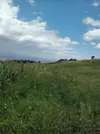 One Acre Land for Sale in Karau with Title Deed - 2