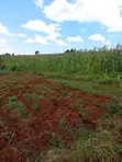 One Acre Land for Sale in Karau with Title Deed - 3