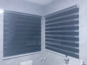 Horizontal Blinds for Office Windows