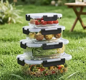 SmartStore Ribbed Glass Lunch Box Collection (4pcs)