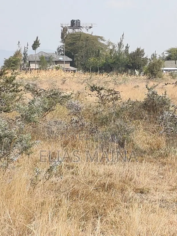 Malaa Plots for Sale - 50x100ft - 1