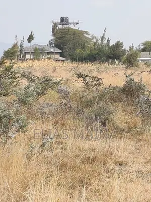 Malaa Plots for Sale - 50x100ft