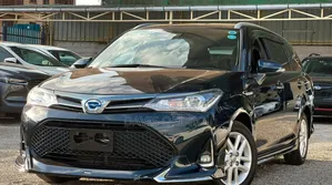 Toyota Corolla Fielder Hybrid WXB 2019