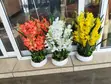 Big Potted Flowers - Table Top Arrangement - 3
