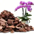 Pine Bark Potting Mix for Plants - 2