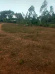 0.12 Acre Land in Dunga - 1