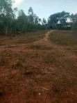 0.12 Acre Land in Dunga - 3