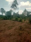 0.12 Acre Land in Dunga - 4