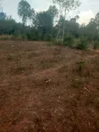 0.12 Acre Land in Dunga - 5