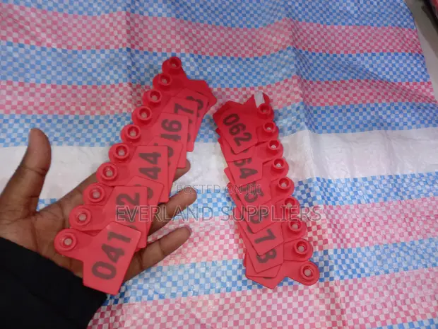 All-Weather Ear Tags for Sheep - 1