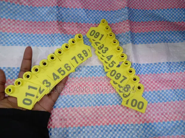 Flexible Ear Tags for Sheep Identification - 1