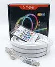 5 Metres RGB IC Neon Lights - 1