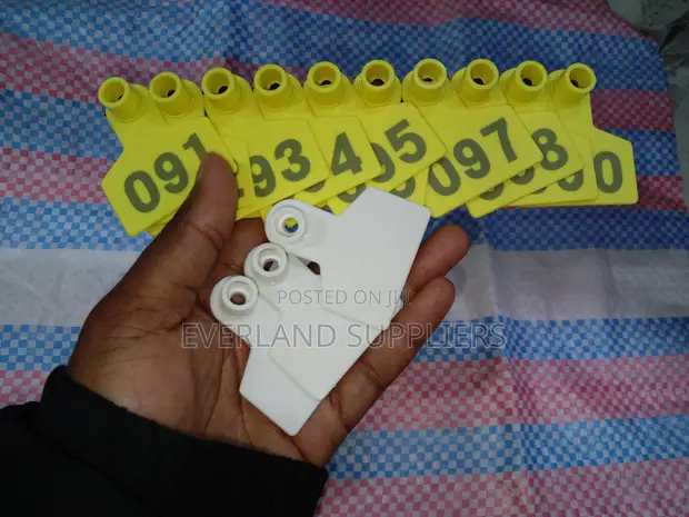 Ear Tags - Outdoor Sheep - 1