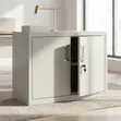 2-Door Mini Filing Cabinet - Gray Steel - 1