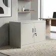 2-Door Mini Filing Cabinet - Gray Steel - 5