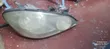 Toyota Ipsum 2005 Headlight (Non-Xenon) - 1