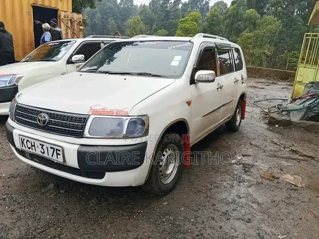 Toyota Probox 2010 White - 1