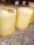 Rabbit Urine Liquid Fertilizer - 2