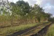 4 Acres Fertile Land for Sale in Vinuni, Tiwi, Kwale County - 1