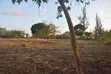 4 Acres Fertile Land for Sale in Vinuni, Tiwi, Kwale County - 2