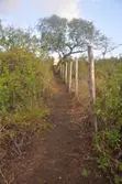 4 Acres Fertile Land for Sale in Vinuni, Tiwi, Kwale County - 3
